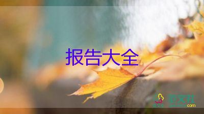 黨要落實(shí)工作報告8篇