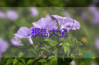 會計社會實踐調查報告范文3000字6篇