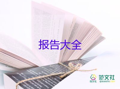 實(shí)踐報告總結(jié)300字12篇