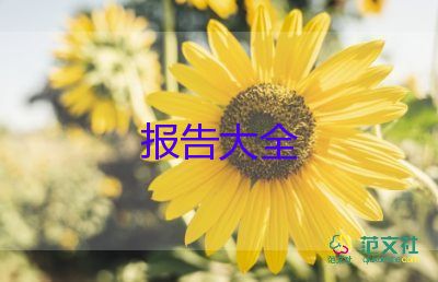 316個人自查報告優(yōu)質(zhì)8篇