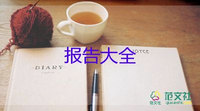 年度報(bào)告總結(jié)推薦5篇