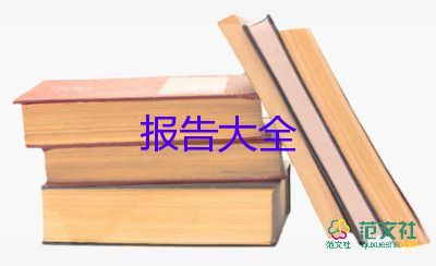 2024年度村黨支部書記述職報(bào)告6篇