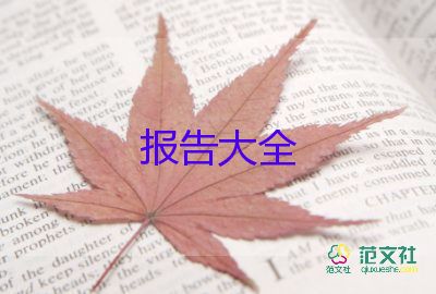 試用期得工作報告6篇