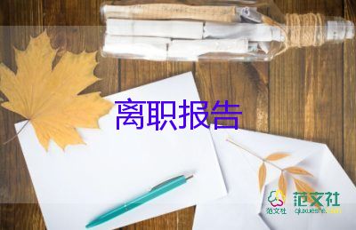 像領(lǐng)導(dǎo)辭職報告7篇