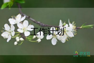 團(tuán)委會(huì)工作計(jì)劃5篇