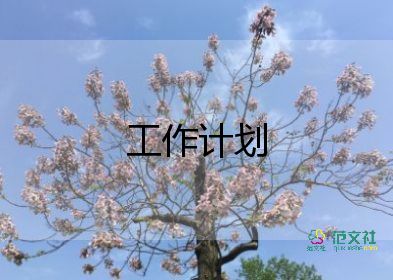 鄉(xiāng)鎮(zhèn)干部工作計劃5篇