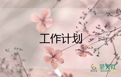 公司下一年工作計(jì)劃7篇