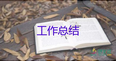 總經(jīng)理個(gè)人總結(jié)最新5篇