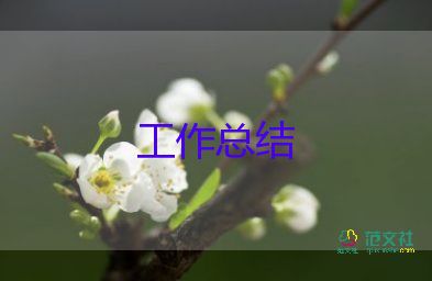 關(guān)于員工試用期工作總結(jié)范文精選6篇