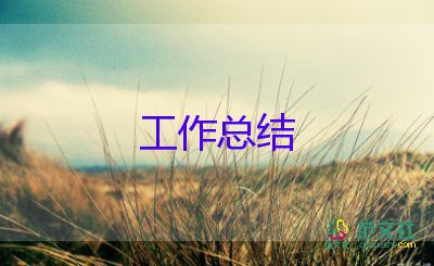 ie工程師工作總結(jié)8篇