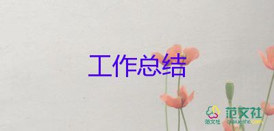 公司轉(zhuǎn)正個人總結(jié)通用8篇