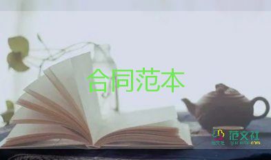 企業(yè)對個人借款合同優(yōu)質(zhì)8篇