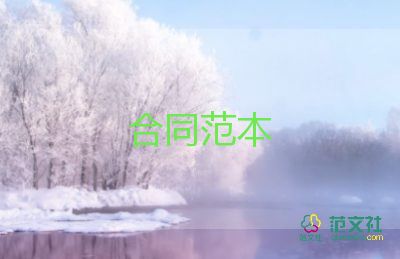 裝修隊(duì)裝修合同5篇