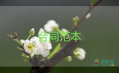 老房翻新裝修合同7篇