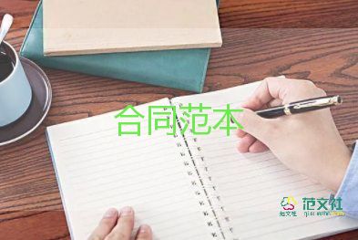 關(guān)聯(lián)公司借款合同5篇