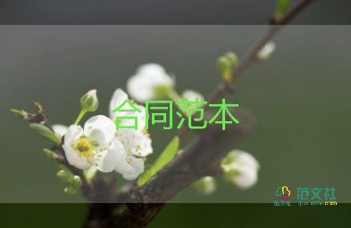 公司和個(gè)人簽合同7篇