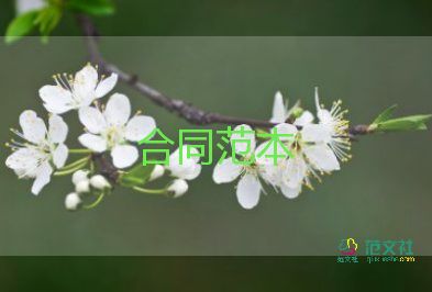 小企業(yè)借款合同精選5篇