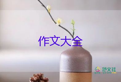 島的故事作文模板7篇