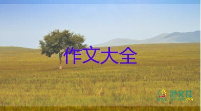 關(guān)于冰的作文500字7篇