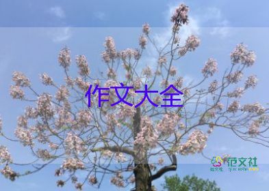 成長(zhǎng)感悟作文500字精選7篇