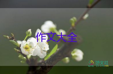 與春節(jié)的作文優(yōu)秀8篇