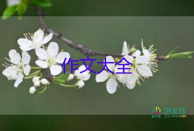 除夕夜作文500字作文推薦6篇