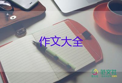 的智慧作文800字6篇