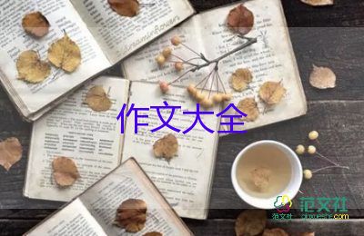 寫寬容的作文5篇