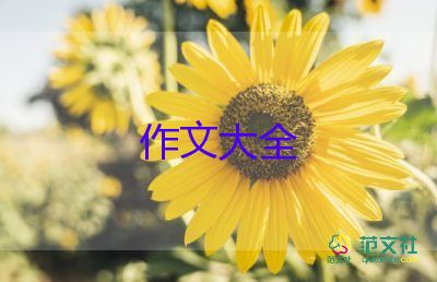 小學(xué)寫事作文范文8篇