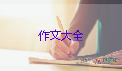 我的中國(guó)年作文600字5篇