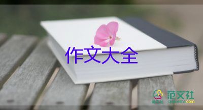 我的哥哥作文400字作文6篇