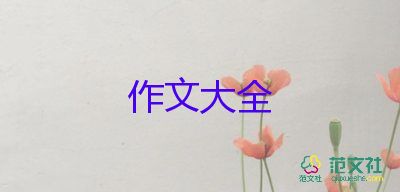 我的61作文400字模板8篇