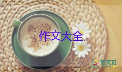 放鞭炮的作文6篇