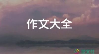 遇見他作文800字8篇