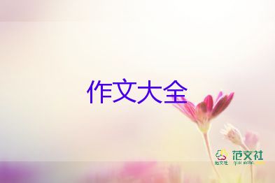 上海的夜作文8篇