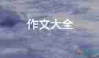 生活需要勇氣作文500字8篇